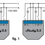 Shelly 2.5