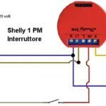 Shelly 1PM