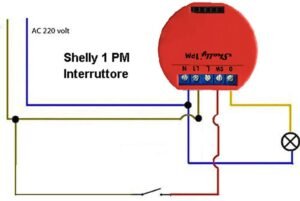 Shelly 1PM